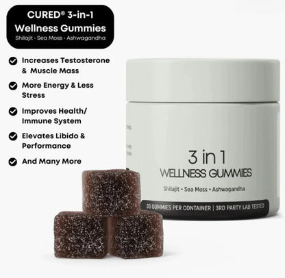 Shilajit 3-in-1 Men’s Wellness Gummies